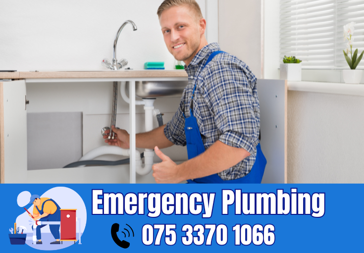  plumber Lordswood