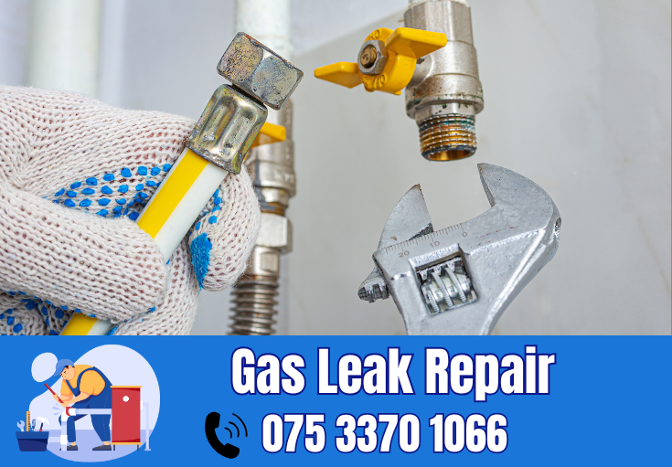 gas leak repair Hempstead