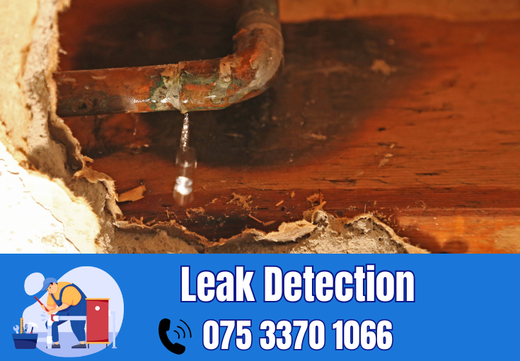leak detection Hempstead