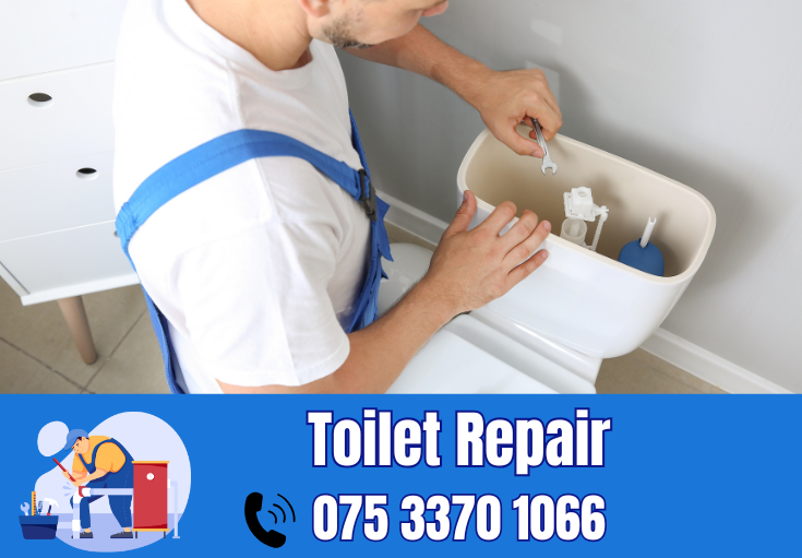 toilet repair Hempstead